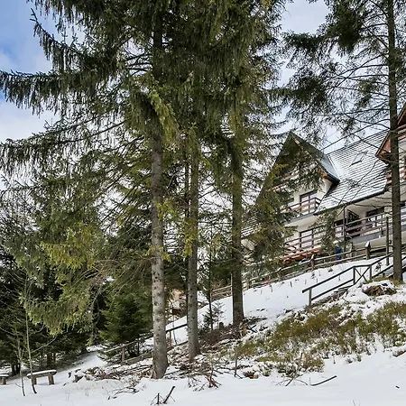 Twoja Chata Podhalami Pl Apartament Pod Lasem Kościelisko