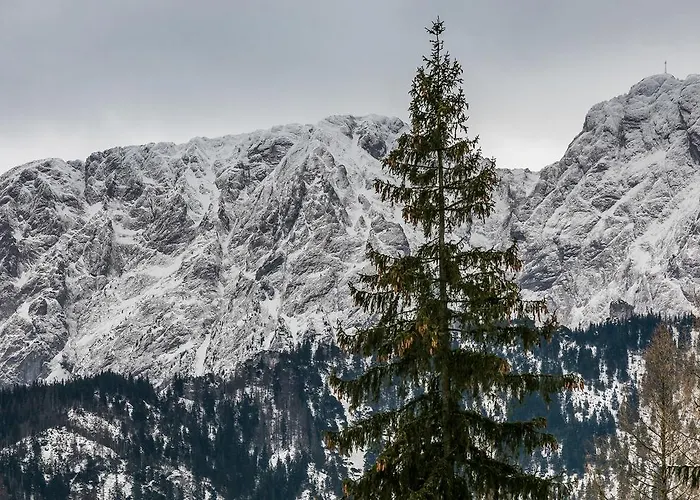 Twoja Chata Podhalami Pl Apartament Pod Lasem Appartement